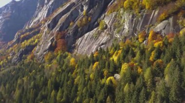 Dağın çok renkli ormanları, sonbahar mevsiminde Val di Mello, Val Masino, İtalya - Lombardiya