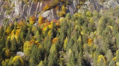 Dağın çok renkli ormanları, sonbahar mevsiminde Val di Mello, Val Masino, İtalya - Lombardiya