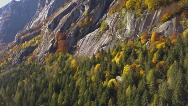 Bergveelkleurige Bossen Het Najaar Val Mello Val Masino Italië Lombardy — Stockvideo