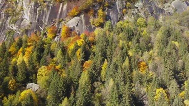 Vielfarbige Bergwälder Herbst Val Mello Val Masino Italien Lombardei — Stockvideo