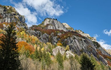 Dağın çok renkli ormanları, sonbahar mevsiminde Val di Mello, Val Masino, İtalya - Lombardiya
