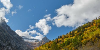 Dağın çok renkli ormanları, sonbahar mevsiminde Val di Mello 'da göl, Val Masino, İtalya - Lombardiya