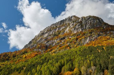 Dağın çok renkli ormanları, sonbahar mevsiminde Val di Mello 'da göl, Val Masino, İtalya