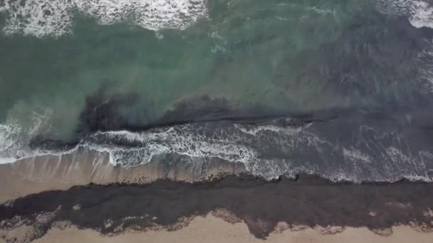 Luftaufnahme Vom Strand Mit Algen Posidonia Oceanica Sand Und Wellen — Stockvideo