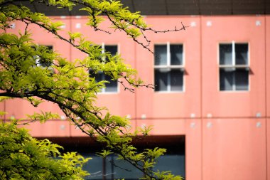 BICOCCA ÜNİVERSİTESİ - MILAN - cephe modern binalar - Milan - Lombardiya - İtalya.