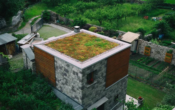 Isometrische Ansicht Eines Modernen Hauses Mit Pflanzen Auf Dem Dach — Stockfoto