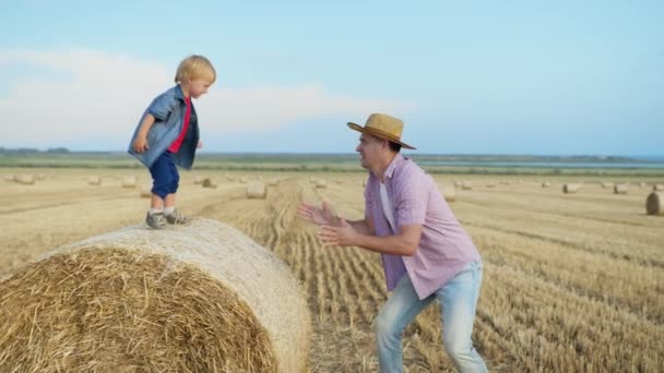 Gelukkig jeugd, klein mannelijk kind geniet spelen met zijn vader springen van hooiberg — Stockvideo