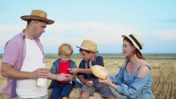 ピクニックやオスの子供を持つ親は小麦畑を歩きながらパンや牛乳を軽食にします — ストック動画