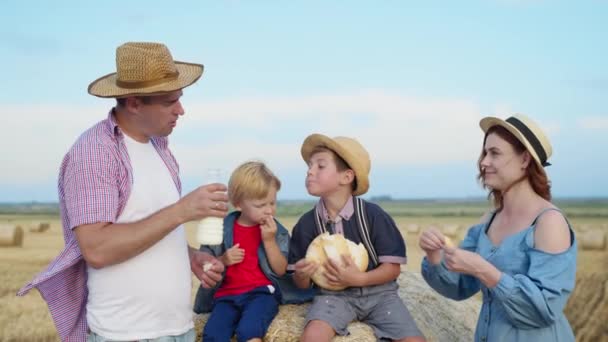 小麦畑でのピクニック中にパンとミルクの午後を楽しんでいる男性の子供と結婚したカップル — ストック動画
