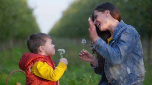 ママは街の外で家族の週末に息子と一緒に庭で遊んで陽気にタンポポを吹いて楽しむ — ストック動画