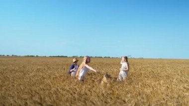 Komik oyunlar, kız arkadaşları buğday tarlasında köpekle oynayan Down sendromlu çocuk, çocuklar evcil hayvana sopa atıp peşinden koşuyorlar.