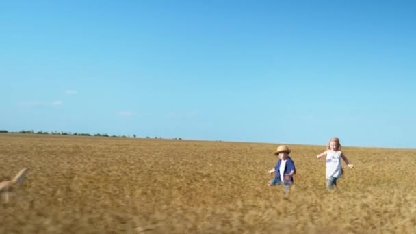 Spiele im Freien, gesunde Mädchen und Jungen mit Down-Syndrom spazieren im Weizenfeld mit einem Hund vor blauem Himmel — Stockvideo