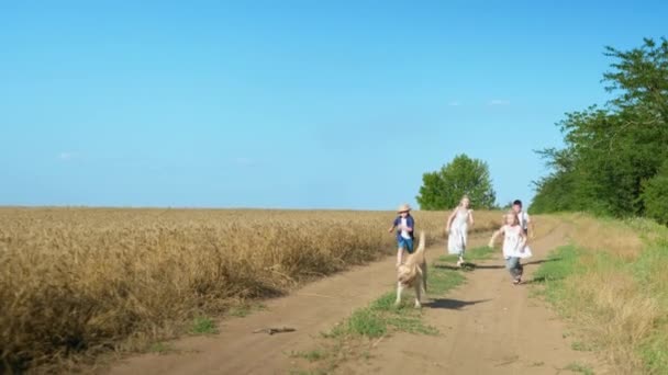 Crianças jogar uma vara para um animal de estimação perto do campo de trigo no fundo do céu azul, o cão cai durante jogos divertidos no campo — Vídeo de Stock