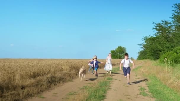 Freundschaft auf dem Land, glückliche Kinder werfen einem Hund einen Stock zu und rennen ihm neben einem Weizenfeld vor blauem Himmel hinterher — Stockvideo