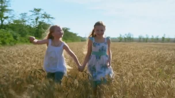 Glückliches Wochenende, lächelnde aktive Freundinnen mit langen Haaren rennen in Zeitlupe über das Weizenfeld vor blauem Himmel — Stockvideo