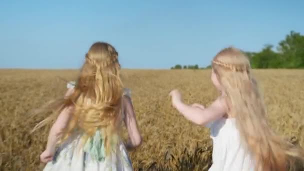 Jogos ao ar livre, meninas ativas com cabelos longos andando e correr em campo de trigo no fundo do céu azul — Vídeo de Stock