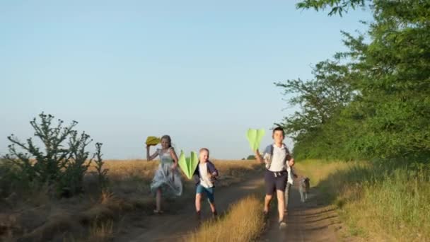 Venkovní hry, aktivní kluci a dívky spolu se psem běží po silnici a odpalují papírová letadla do vzduchu v blízkosti pšeničného pole — Stock video