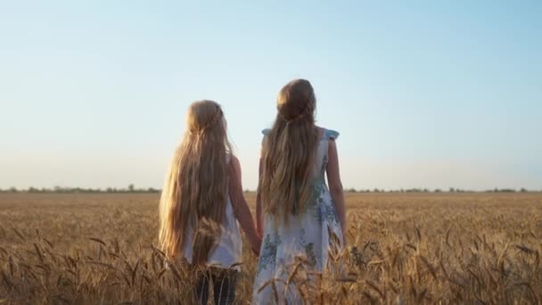 Familia rural vacaciones, hermanas con el pelo largo rubio levantar las manos al cielo en el campo de trigo, vista trasera — Vídeo de stock