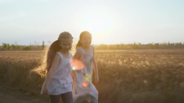 Filles heureuses sur fond de beau coucher de soleil, amies aux cheveux longs blonds sautant tout en marchant en se tenant la main dans le champ — Video