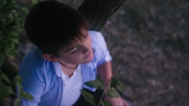 Çocuk ağaçta oturuyor ve gökyüzüne ve günbatımına bakıyor.