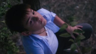 Çocukluk anıları, çocuk ağaçta oturur ve rüyasında gökyüzüne ve günbatımına bakar, yakın plan.