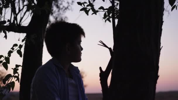 Kindertijd, jongen zittend op boom en kijkend naar hemel en zonsondergang, silhouet — Stockvideo