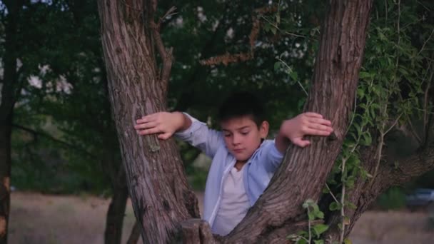 Estilo de vida, menino bonito subiu árvore e olha para o pôr do sol e primeiras estrelas no céu — Vídeo de Stock