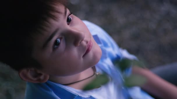 Αγόρι κάθεται στο δέντρο και ονειρεύεται κοιτάζοντας τον ουρανό και το ηλιοβασίλεμα εν αναμονή των πρώτων αστεριών κατά τη διάρκεια μιας βραδινής περιπάτου, ευτυχισμένη παιδική ηλικία — Αρχείο Βίντεο