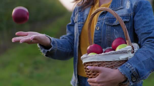 Woman throws and catches ripe juicy apple with her hand and puts it in basket with fruit background of green trees, close-up — Stock Video