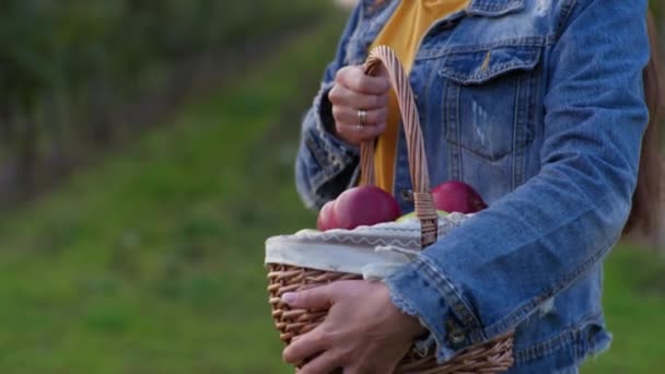 Attraktive Frau mit Korb mit reifen saftigen Äpfeln in den Händen sieht Bäume und macht ihren Blick in die Kamera, Ernte — Stockvideo