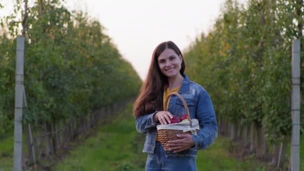 Alimentos saludables, la mujer lanza y captura la manzana roja madura y la pone en la cesta con el resto de la fruta durante la cosecha en el jardín — Vídeo de stock