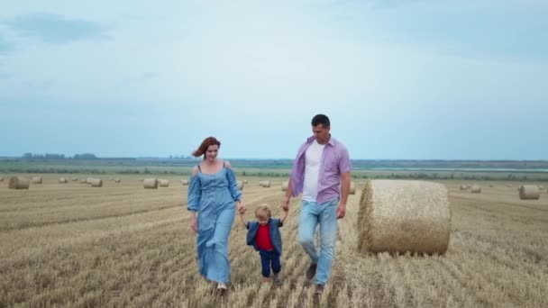 雄の子は小麦畑を歩きながら父と手を取り合っています — ストック動画