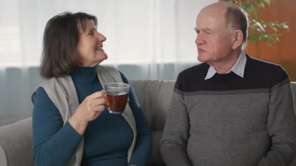 Casal alegre que manteve sentimentos ternos são imbuídos de chá comum beber com sanduíches e conversa alegre — Vídeo de Stock