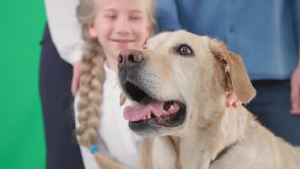 Retrato de um cão de família golden retriever na frente de uma criança do sexo feminino com um homem e uma mulher, chave chroma — Vídeo de Stock