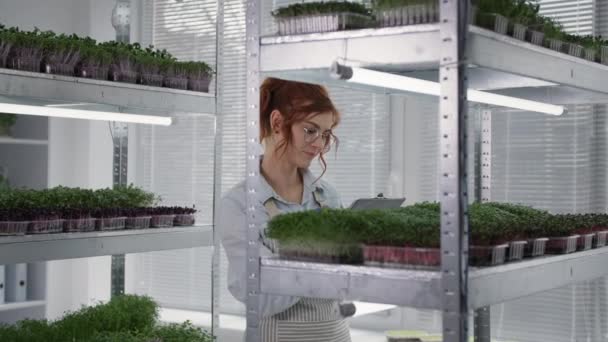 做小生意，带着眼镜的年轻女人在架子上的容器里种植嫩芽 — 图库视频影像