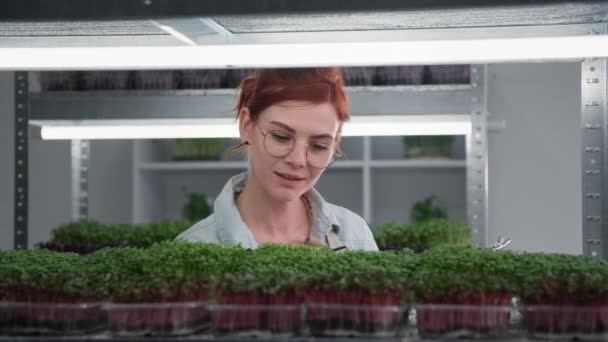 Organický skleník, mladá žena s brýlemi zkoumá stav mikrozelených klíčků v nádobách a dělá si poznámky do notebooku v moderním skleníku — Stock video