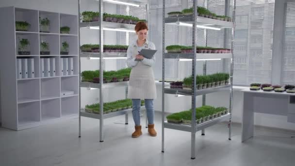Ekologická farma, mladá podnikatelka zapisuje stav rostlin v kontejnerech na regálech v moderním skleníku v notebooku — Stock video