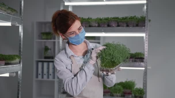 Negócio durante pandemia, jovem agricultora usando luvas e máscara médica verifica jovem micro verde em recipiente — Vídeo de Stock