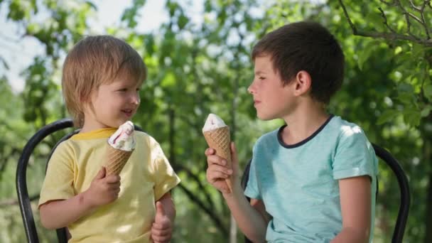 Carefree childhood, cute brothers have fun eating cool ice cream on hot day and rub each other nose with sweet dessert during summer holidays — Stock Video