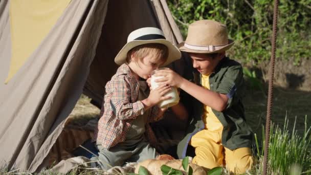 Relationship of children, happy boys enjoy spending time together at picnic, older brother caringly feeds younger one milk and bun while resting outside the city in t — Stock Video