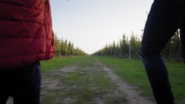 Famiglia godendo di trascorrere del tempo insieme mamma e papà con il bambino intorno al collo tenere il loro figlio in braccio mentre si cammina nel parco — Video Stock