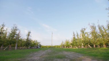Ebeveynlik, kırsal kesimde parkta yürürken küçük kardeşi babasının boynuna dolanmış bir şekilde anne ve babasının elini tutuyor.