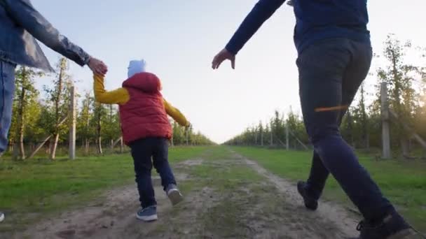 Rodina s dětmi mužského pohlaví drží za ruce, zatímco vesele běží po venkovské silnici v jablečném sadě — Stock video