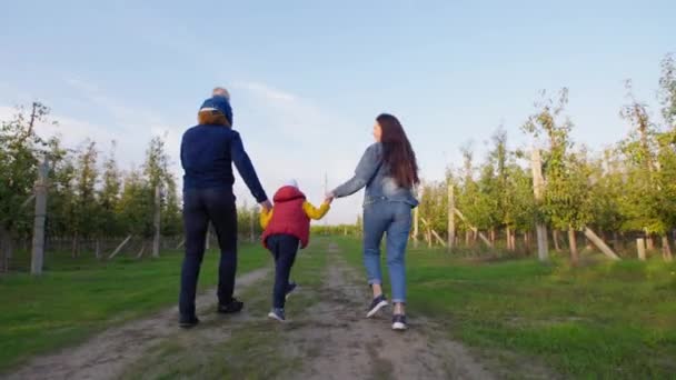 Батьки люблять гуляти разом зі своїми синами вздовж дороги в саду — стокове відео