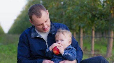 Sağlıklı yemek, küçük erkek bebek babasının kollarında otururken büyük olgun kırmızı elmayı ısırıyor.
