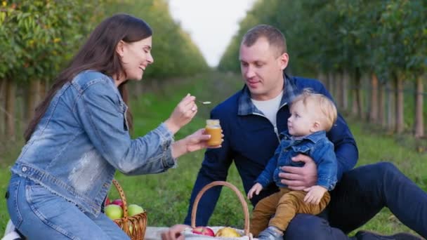 Utfodrar barn i naturen, matar mor barnet med sked med baby äppelmos medan han sitter i sina fäders armar — Stockvideo