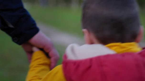Gondoskodó apa fogja a kis drága gyermek kézzel egy szabadtéri séta során együtt, szülő támogatás — Stock videók