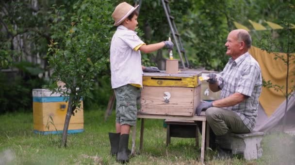 Apiario, nonno premuroso insieme al nipote laborioso, utilizzare cespugli e vernici per preparare orticaria per la stagione estiva nella calda giornata di sole — Video Stock