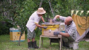 Arıcılık, yaşlı adam ve çocuk yeşil ağaçların arka planına karşı bahçede sıcak bir günde, sarı fırçalarla arı kovanını boyuyorlar.