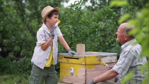 古い養蜂家と彼の孫は夏の季節に庭の古い木の蜂の巣にブラシで黄色の塗料を塗ります — ストック動画